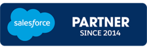 Salesforce1_Consulting_Partner_Square-300x300-1